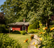 Gartenblick auf die Praxis für Familienmediation und Eheberatung in Lübeck