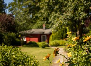 Gartenblick auf die Praxis für Familienmediation und EFT-Paartherapie in Lübeck