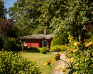 Gartenblick auf die Praxis für Familienmediation und Eheberatung in Lübeck